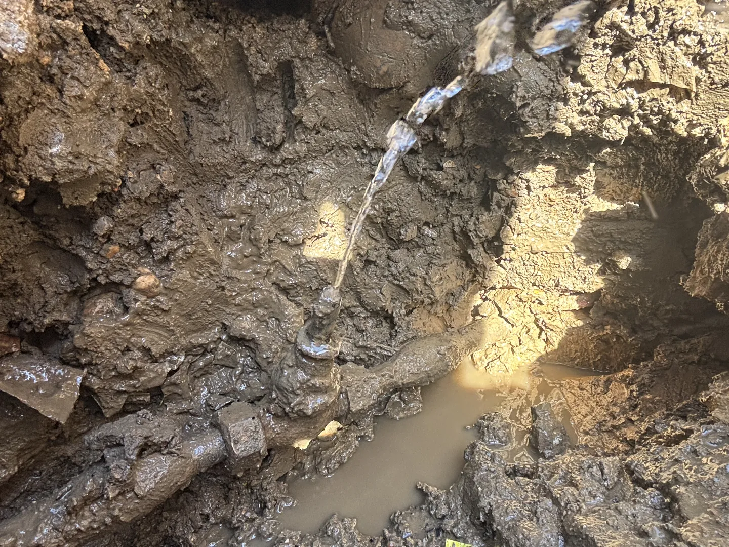Water spraying from a burst underground pipe found and exposed by Greenwinter Leak Detection